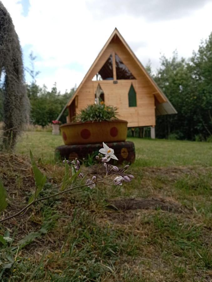 Hotel Glamping Las 4 Estaciones Guatavita Zewnętrze zdjęcie